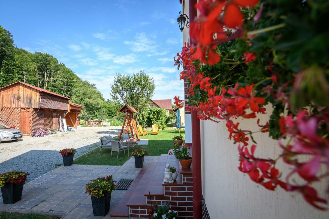 Casa Moldovan Sovata Exterior photo