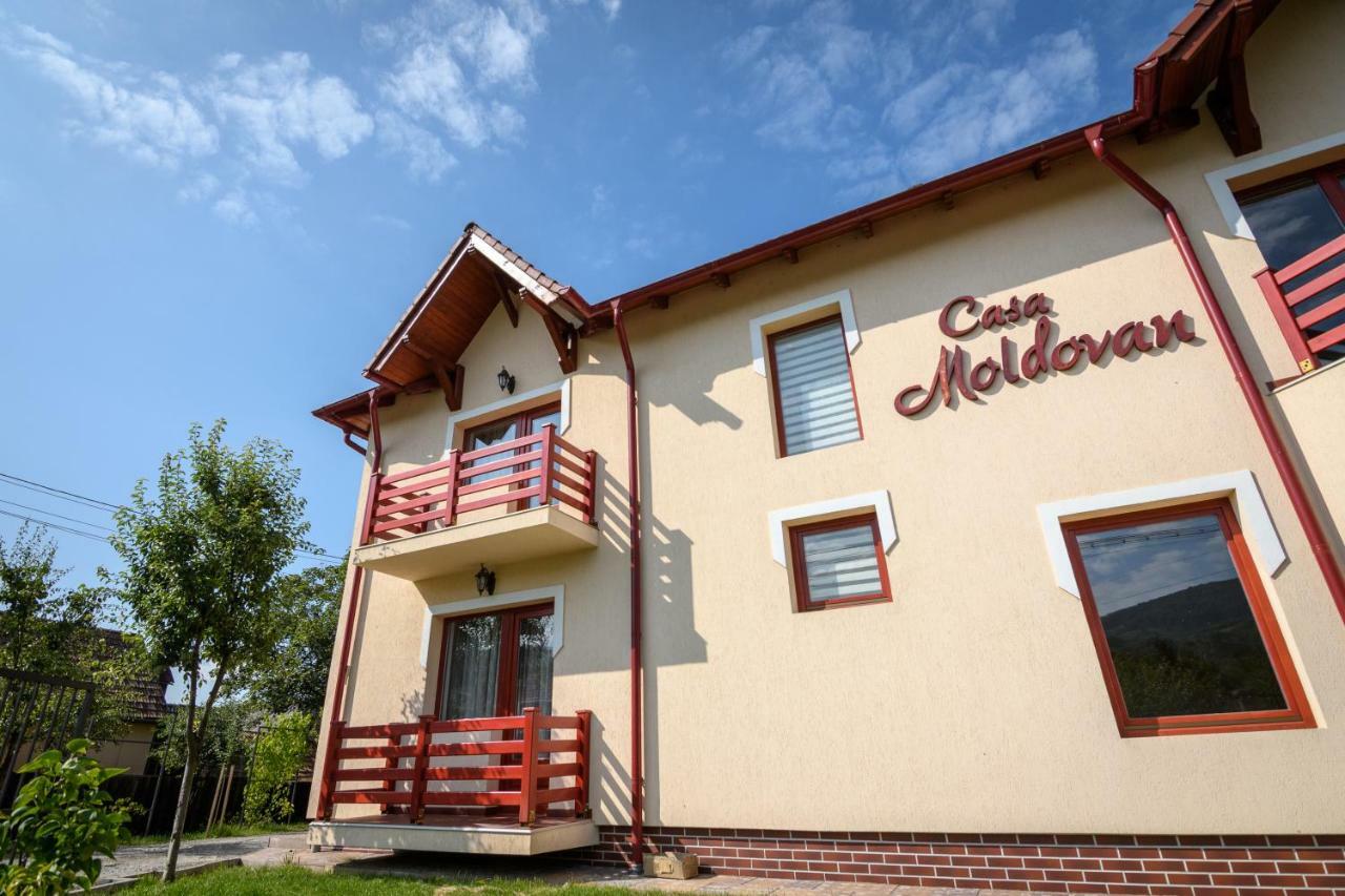 Casa Moldovan Sovata Exterior photo